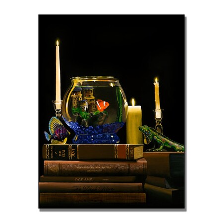 Trademark Fine Art Roderick Stevens 'Fishbowl' Canvas Art, 35x47 RS870-C3547GG